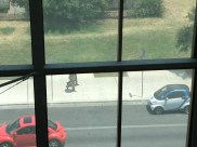 From the Convention Center