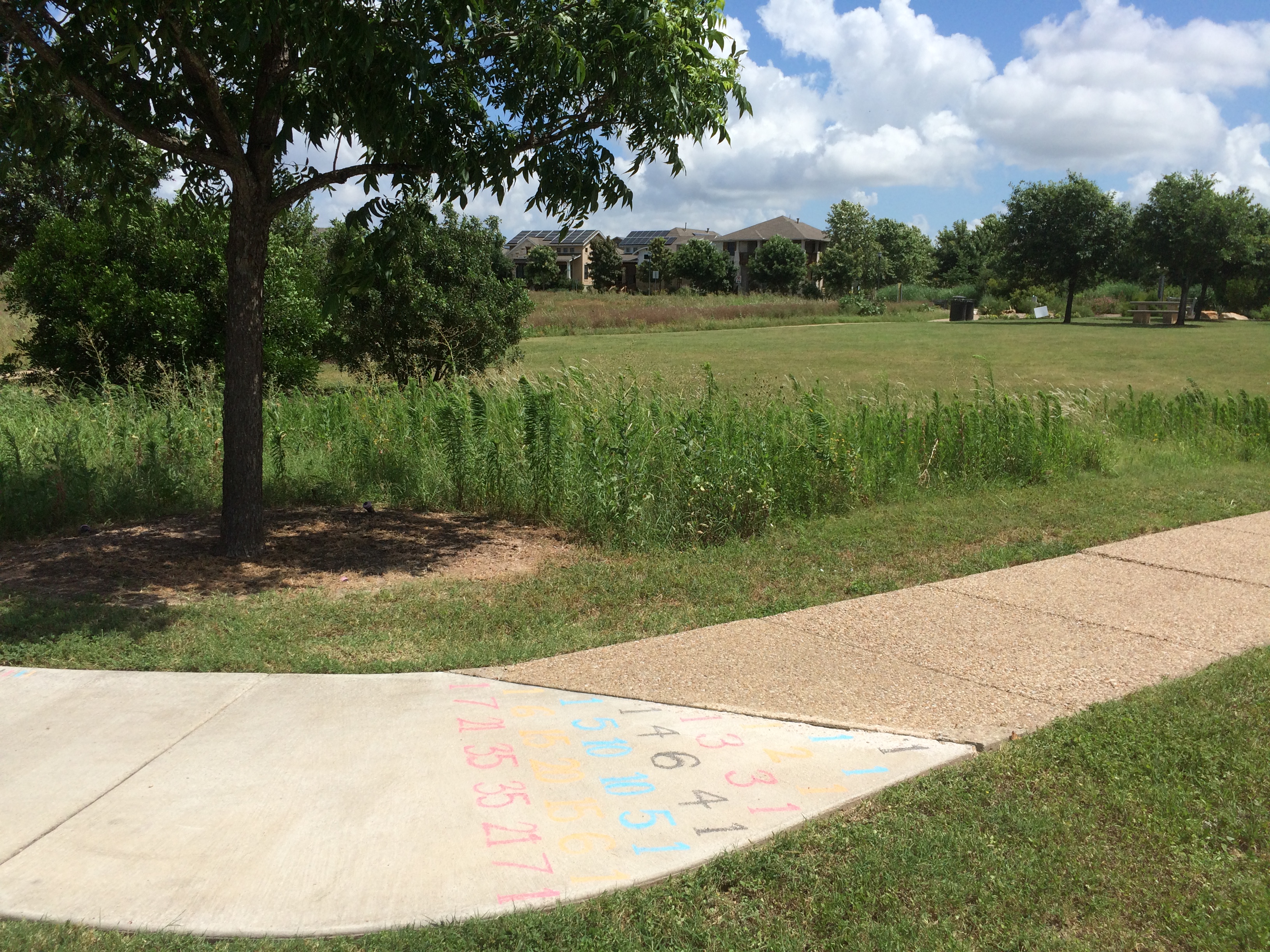 The surrounding park