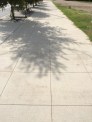 Sidewalk on 5th just east of Waller