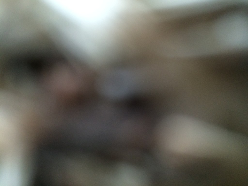 My phone in the grass